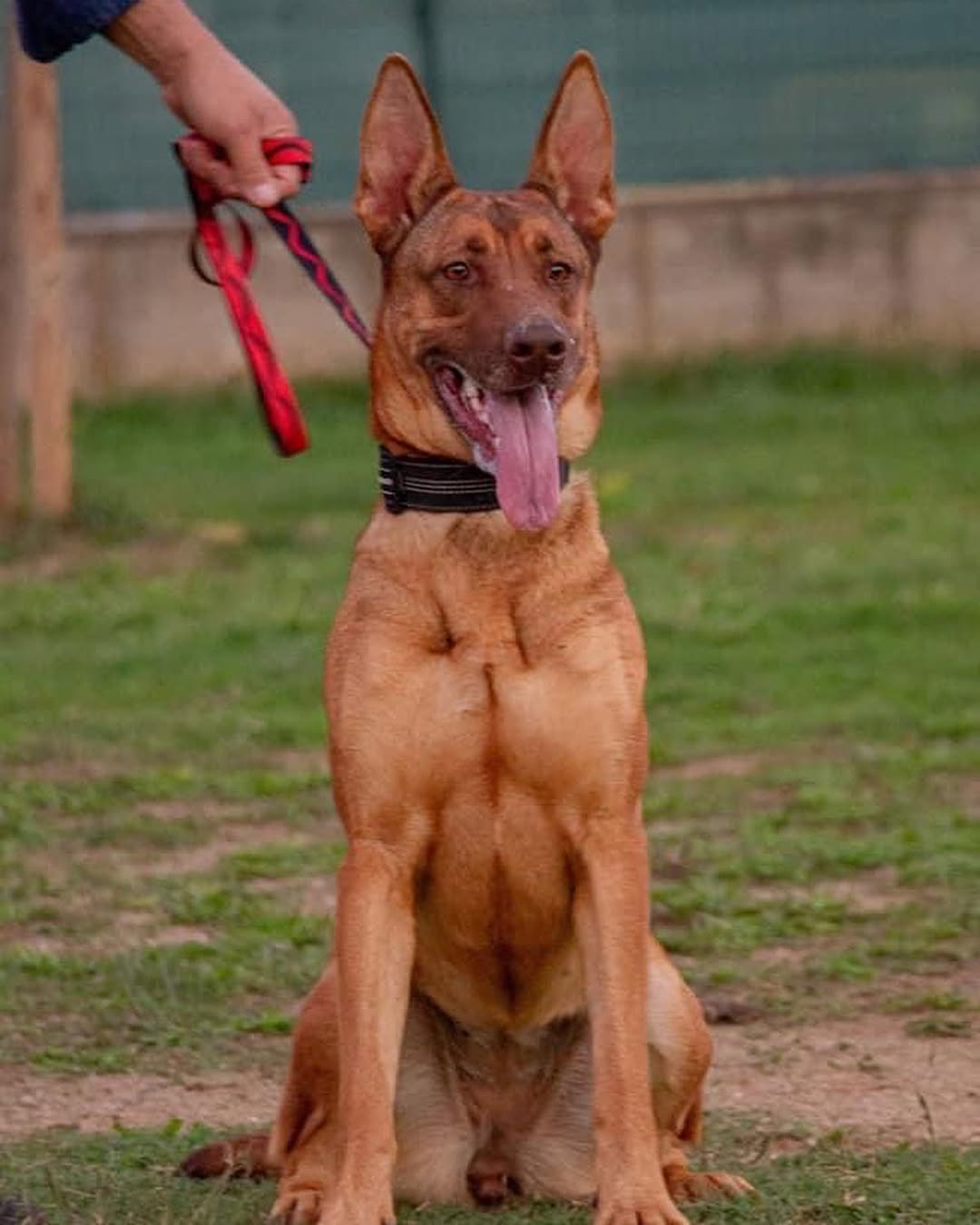 Mali