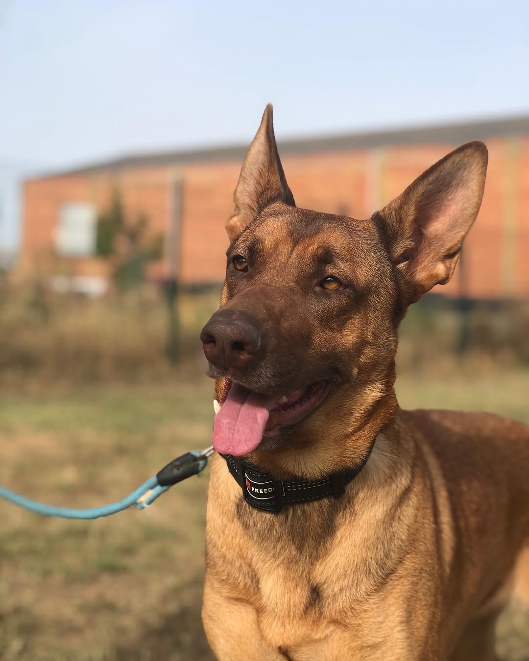 Mali
