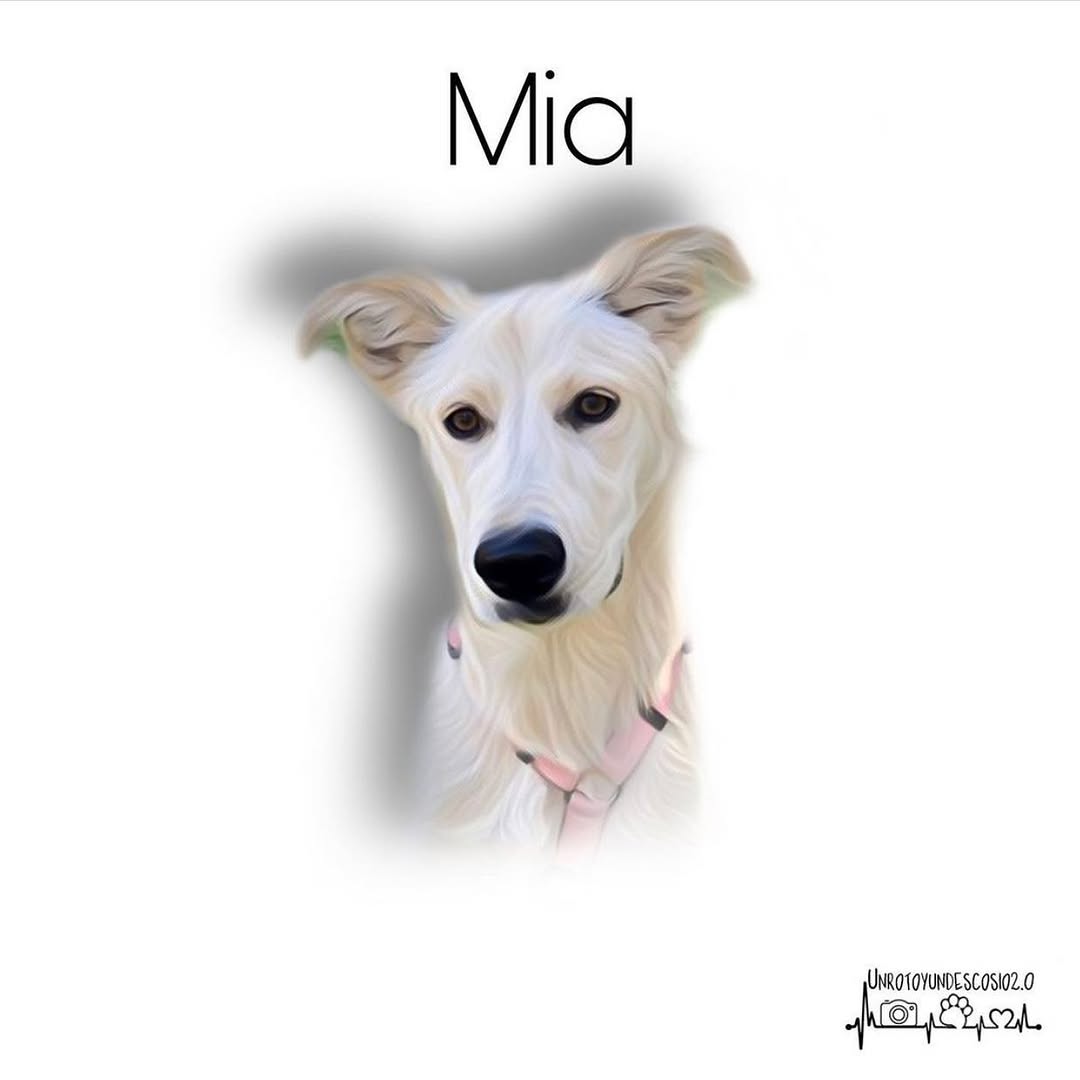 Mia