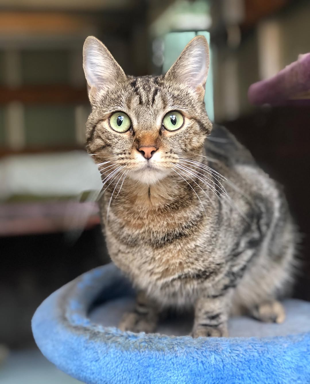 Mia