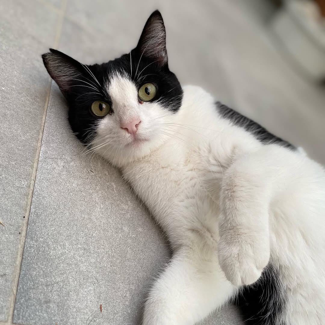 Nela 2