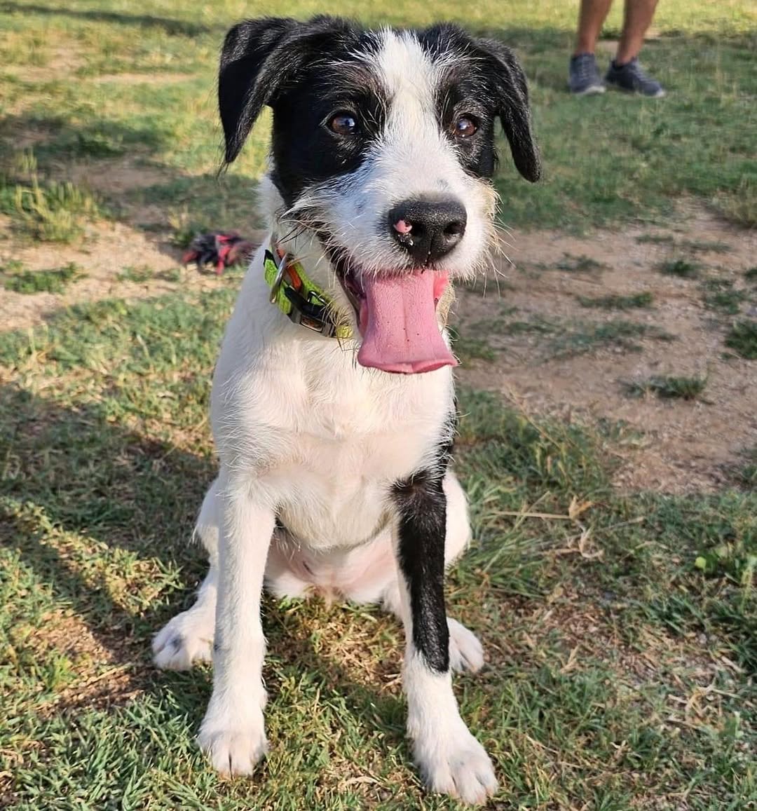 Xena