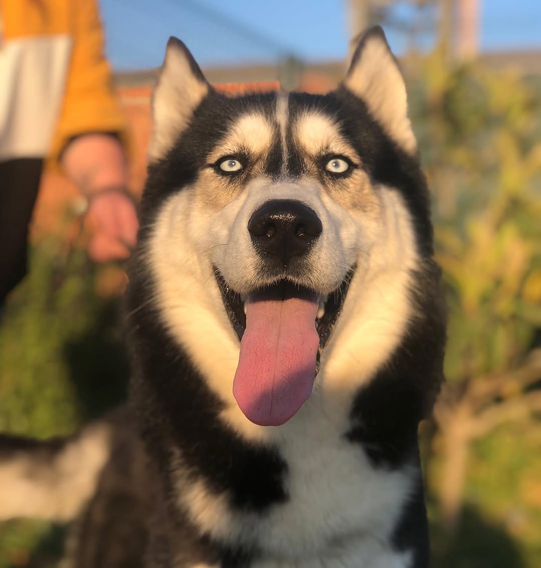 Zeus