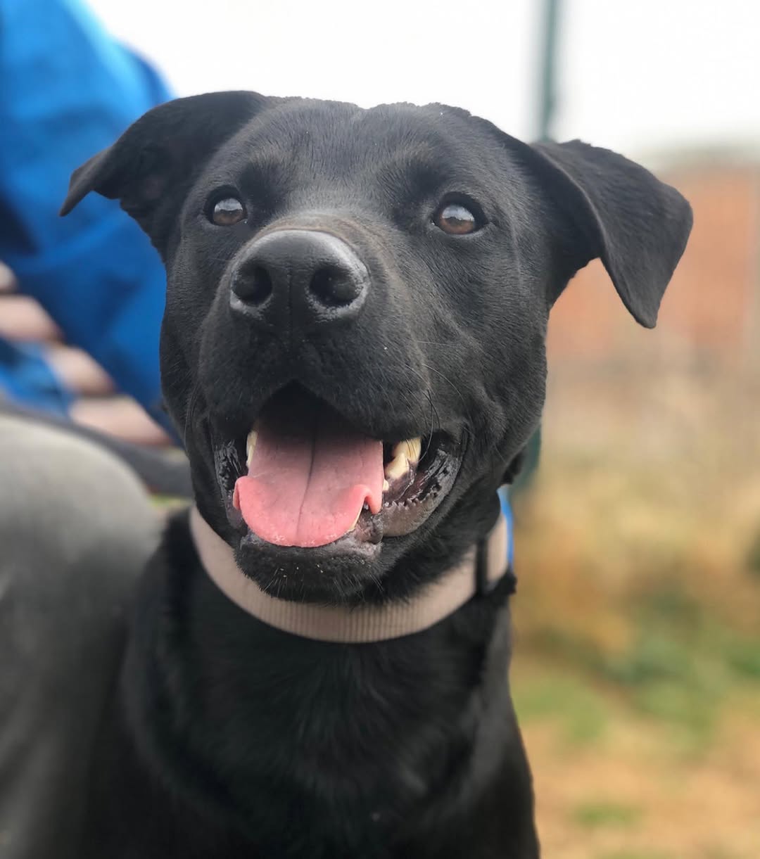 Zeus